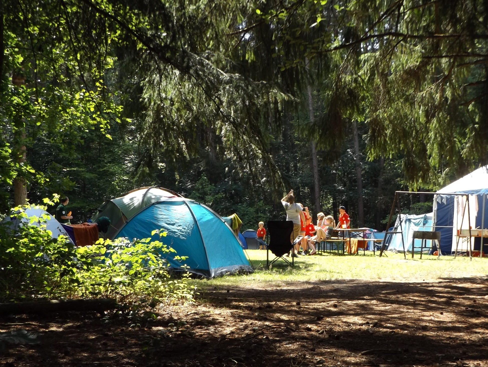 タープ・焚き火・テント…機能的で快適なキャンプレイアウトとは